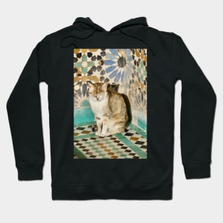 Cat Among Moroccan Tiles Hoodie